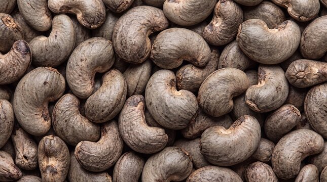 Close up overhead view of a large pile of raw unshelled cashew nuts with textured brown shells filling the entire frame