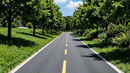Obraz premium A serene, tree-lined asphalt road stretches into the distance, inviting a peaceful journey through lush green nature