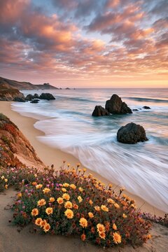 Long exposure photograph of a beach at dusk or dawn, showcasing colorful flora in the foreground