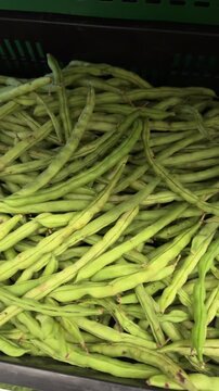 Loose green beans fill a black crate under indoor store lighting, forming a dense textured pile of fresh produce for food or nutrition themes.