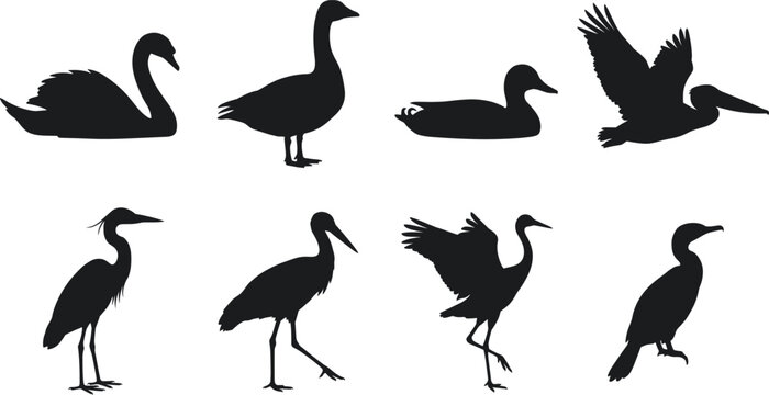 Water birds silhouettes set featuring wild waterfowl species swan goose duck pelican stork and heron vectors