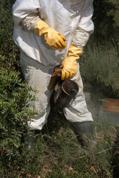 Beekeeper holding smoking bee smoker in natural apiary