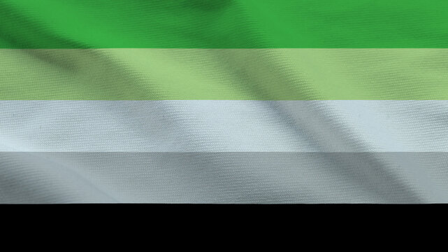 Aromantic Pride Flag Fabric Texture Background