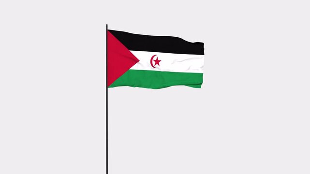 Western Sahara Flag Animation 4K Transparent Background with Alpha Channel