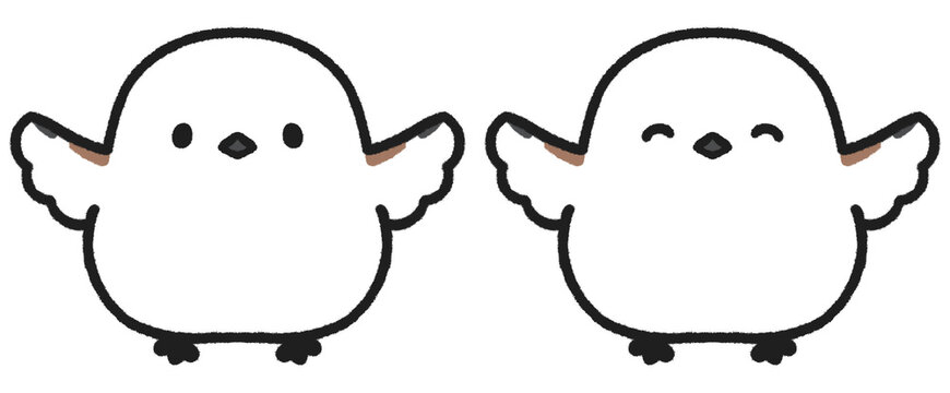 両方の翼をあげるシマエナガのイラストセット