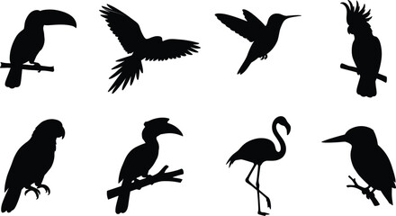 Exotic Bird Silhouette Set with Flying and Perched Tropical Wildlife Vector Collection © bri