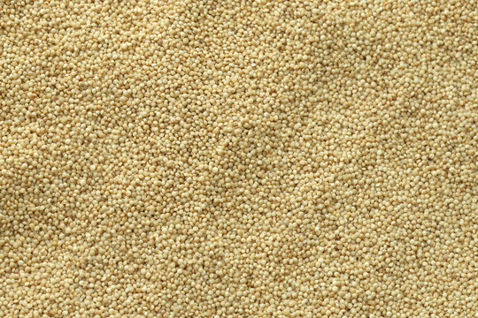 Detailed view on dry amaranth grains in big pile on table close up
