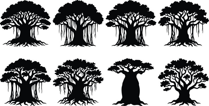 Collection of Banyan and Baobab Tree Silhouettes for Nature Designs and Forest Illustration Vector Projects