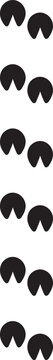 Animals footprint tracks.  donkey prints . Black foot trace vector set