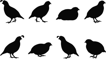 Fototapeta premium Set of Eight Black Quail Silhouettes Isolated on White Background for Wildlife, Nature, and Ornithology Vector Design