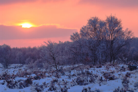 Sunset Over Brimham Rocks in Yorkshire With Mist and Snow Creating an Atmospheric Winter Scene