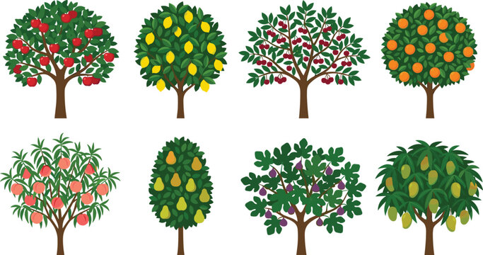 Colorful fruit tree illustrations featuring apple, lemon, cherry, orange, peach, pear, fig, and mango