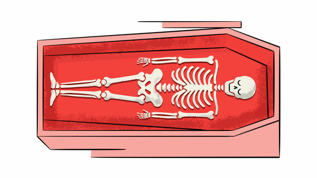 Cartoon skeleton lying in red coffin box on white background