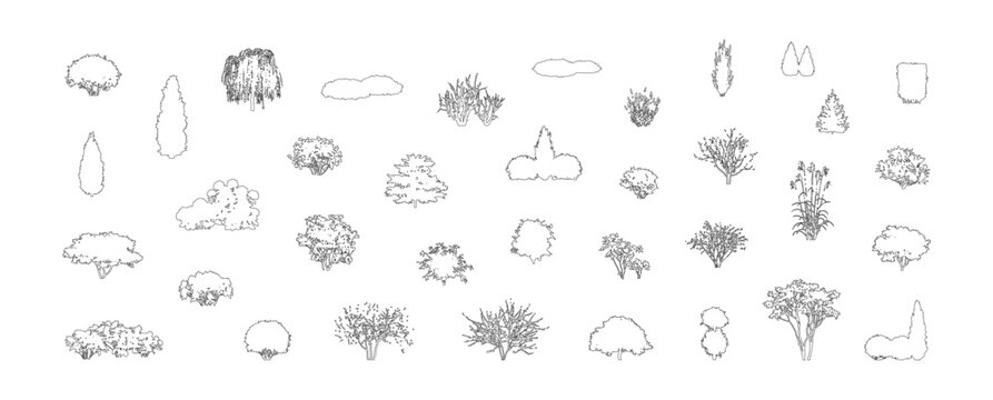 CAD plant catalog line drawing, side view trees shrubs bushes foliage silhouettes for architecture landscape design vector illustration