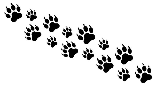Black animal paw prints on white background