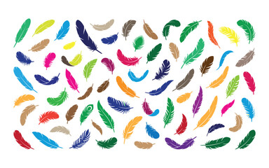 Fototapeta premium Colorful falling feathers collection on white background silhouette