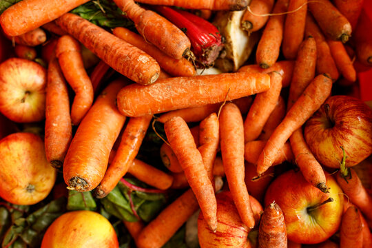A colorful bounty of fresh carrots and apples piled together