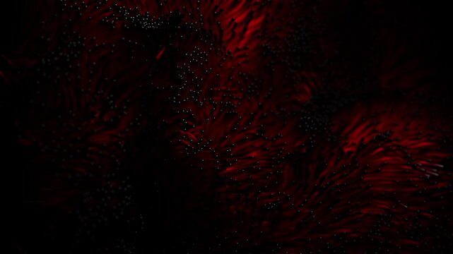 Red algae swaying in underwater currents