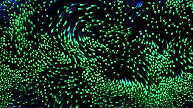 Green algae swaying in underwater currents
