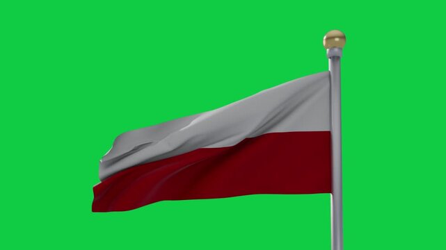 Gust starting bicolor flag rippling and folding on pole, finial fixed, for design on transparent bg