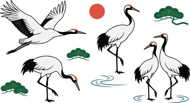 Traditional Japanese Red Crowned Crane Vector Element Set with Flying Standing Birds Red Sun Pine Tree and Water Ripples for Oriental Asian Style Designs