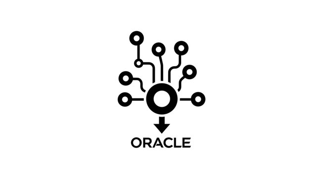 Oracle Database Network System Design.