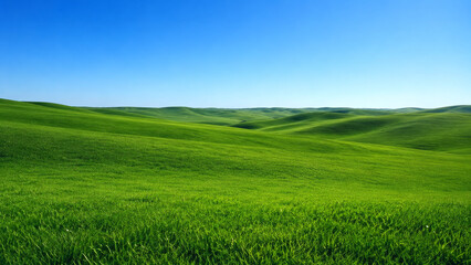 Fototapeta premium Rolling Green Hills under Clear Skies, Beautiful Sunny Day in Grassland Landscape
