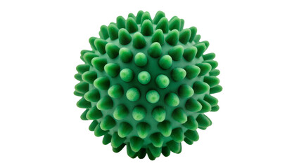 Fototapeta premium Isolated green spiky massage ball for self-massage, muscle relief, and therapy exercises