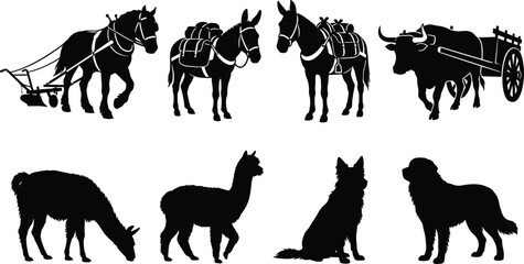 Obraz premium Working Farm Animal Silhouette Vector Bundle Featuring Draft Horse Pack Donkey Ox Llama Sheep and Herding Dog