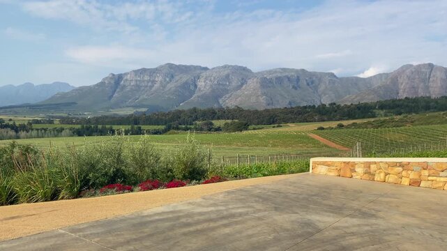 Vineyards with mountains in the background near Stellenbosch in South Africa
