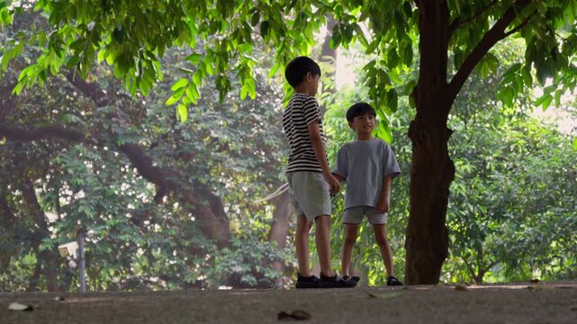 Heartwarming footage of two young siblings standing and playing together beneath large shady trees in a green public park