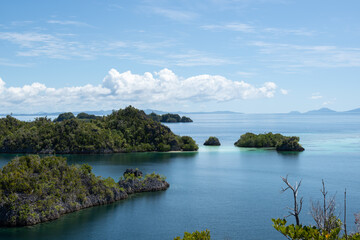 Fototapeta premium Famous Piaynemo viewpoint showing tropical karst islands and crystal blue lagoons in Raja Ampat Indonesia