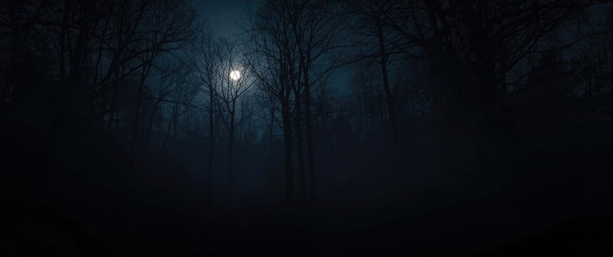 Full moon shining through dark, foggy forest at night