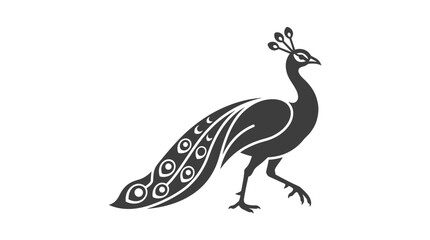 Fototapeta premium Black and white peacock illustration walking.