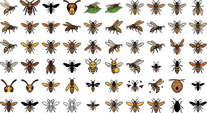 Honey Bee Wasp and Hornet Icon Set with Honeycombs Beehives Queen Bees Vectors and Cartoon Characters for Apiculture Beekeeping and Insect Entomology DesignsHoney Bee Wasp and Hornet Icon Set with Hon