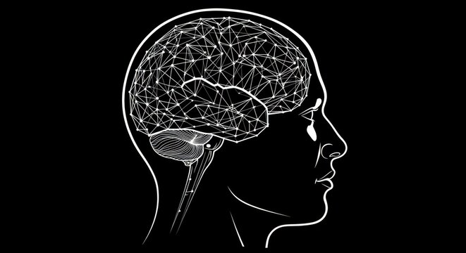 Human head with brain outline in profile
