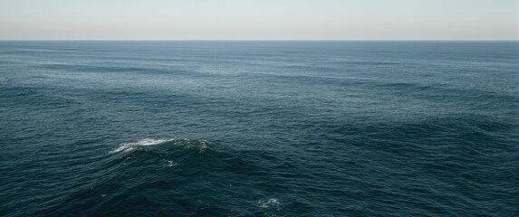 Fototapeta premium Calm ocean waves under a clear sky