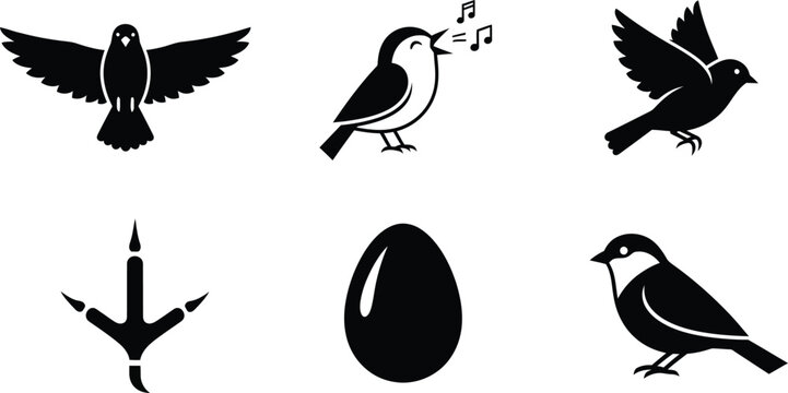 Bird and Nature Icon Set, Flying Bird, Sparrow, Eagle, Egg, Nesting Wildlife, Black and White Solid Vector Icons Collection for Animal, Nature and Logo Design