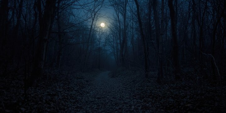 Pathway through a dark forest under a full moon