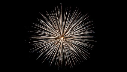 Fototapeta premium Golden firework explosion against a black background