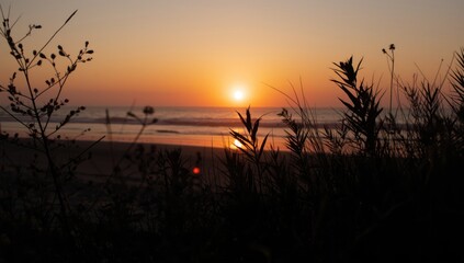 Fototapeta premium Sunset over the ocean with silhouetted plants in the foreground