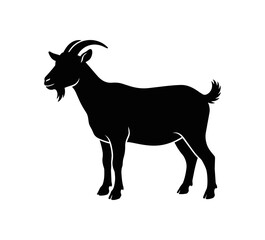 Fototapeta premium Silhouette of a Standing Goat with Horns and Beard.