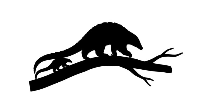 Silhouette of anteater and young on tree branch.