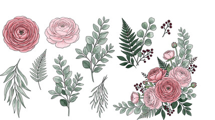 Elegant vector floral collection with pink ranunculus flowers green eucalyptus leaves fern branches and berries isolated on white background (18 words) © MdEajdani