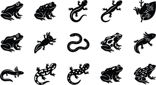 Amphibian and Reptile Silhouette Icon Collection Featuring Frogs Salamanders Newts Lizards and Wildlife Identification Symbols