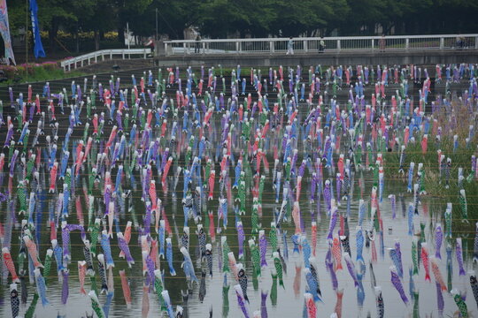 群馬県 館林市の鶴生田川～こいのぼりの里まつり
