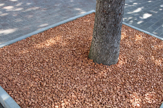 Paillage autour d'un arbre avec granulats de briques pil&eacute;es, paillis min&eacute;ral d&eacute;coratif et durable, am&eacute;nagement des villes et villages