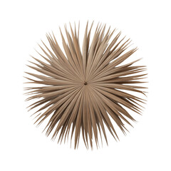 Obraz premium Circular Dried Fan Palm Leaf Decoration for Bohemian Home Decor Isolated on Plain White Background