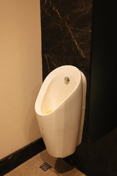 White urinal stands against dark marble walls in warm light, showing clean modern restroom design view