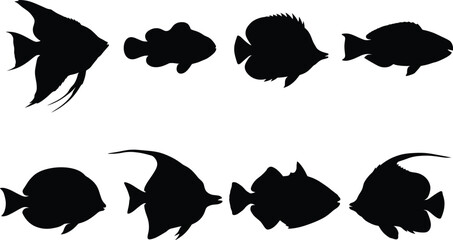 Set of tropical fish silhouettes aquarium and coral reef marine life isolated on white background © Mokshad Ali